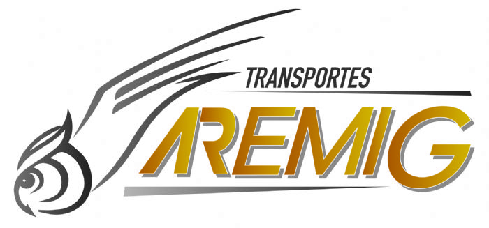 TRANSPORTES AREMIG SA DE CV